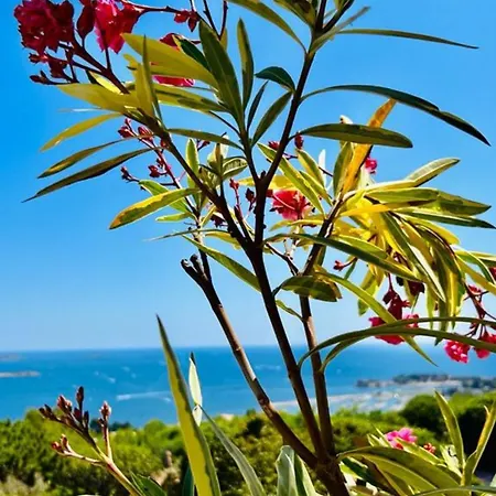 Apartment Vue Imprenable Et Piscine Bandol